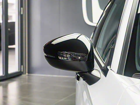 2025�� 2.0L e:HEV �춯Pro