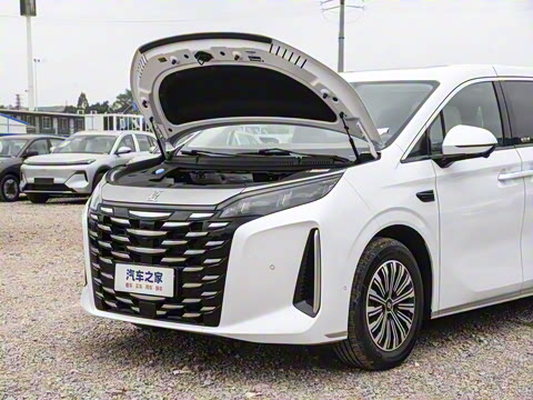 2025�� DM-i 1.5T 100km �캽��