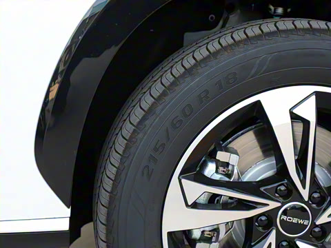 2024�� 135������