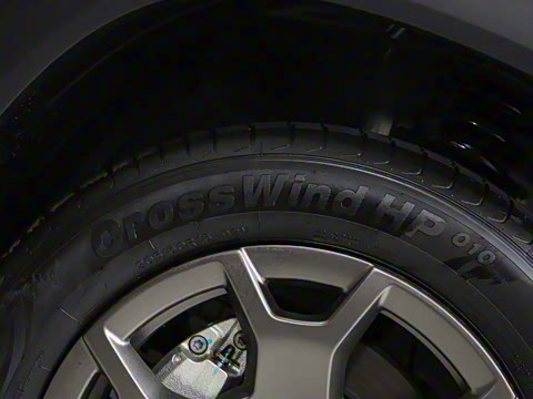 2025�� ����� 5��