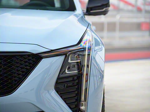 2025�� 28T �������ܰ�