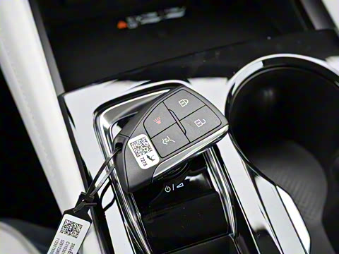 2025�� ������Plus ����Avenir��ά��