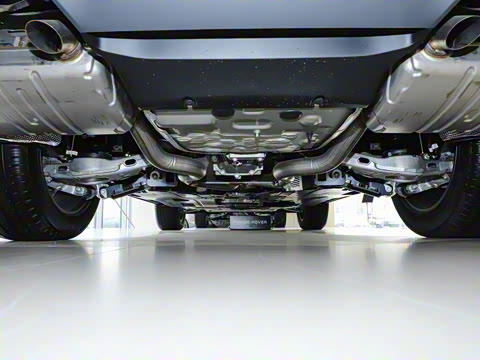 2025�� Dynamic SE