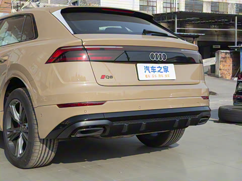 2024�� 55 TFSI ����������