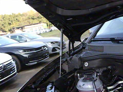 2025�� 380TSI ���������Ѿ�Pro  ������ 6��