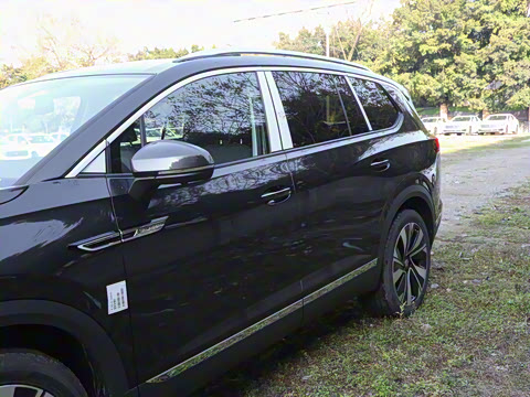 2025�� 380TSI ���������Ѿ�Pro  ������ 6��