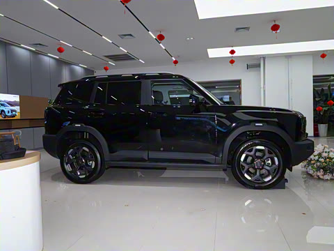 2025�� 2.0TD ��Խ