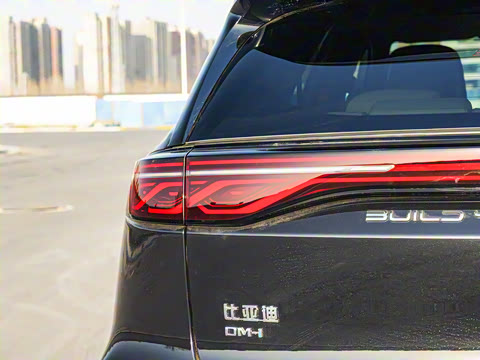 2025�� �Ǽݰ� DM-i 115KM �콢��