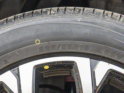 2025�� �ǻ������� 125km ���ܰ�