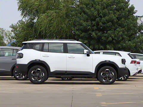 2025�� 2.0TD XWD��Խ