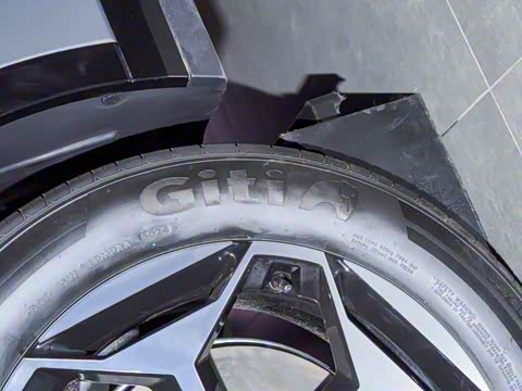 2025�� ����������