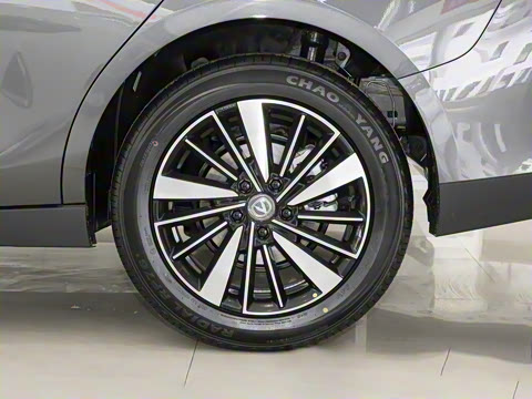 2025�� �ǻ������� 145KM ���ܰ�