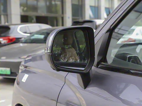 2025�� 2.0T�Զ�������Ӣ�� ����