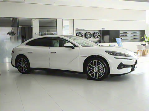 2024�� 1100km ����Pro��