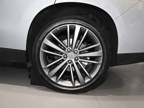 2024�� ���� 520������