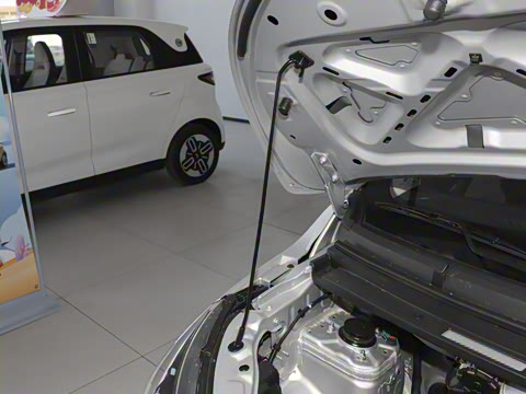 2025�� Mate 300km̤�˰�