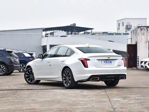 2025�� 28T �����˶���