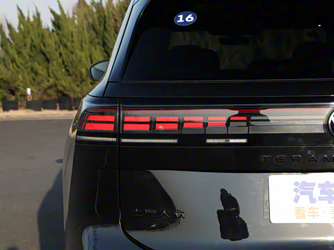 2025�� ;�� Pro 450TSI �����Ƿ��