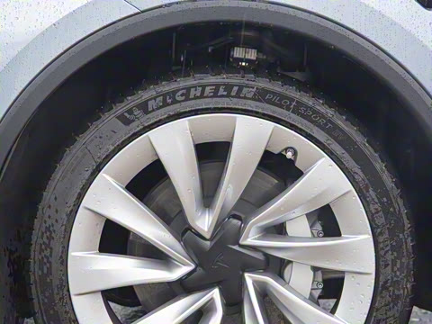 2025�� ����������