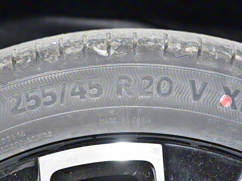 2025�� Max�����