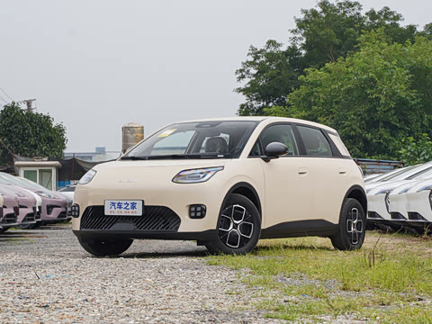 2025�� 330�ǻ԰�