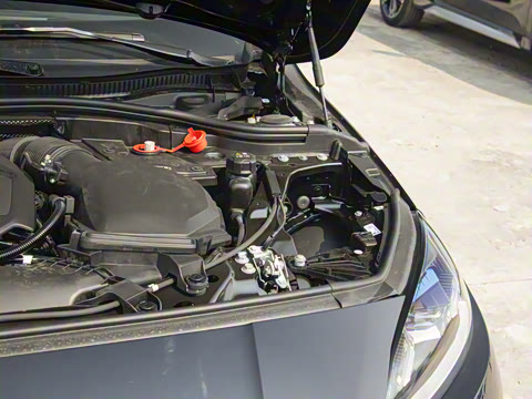 2025�� 225L M�˶���װ