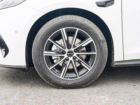 2025�� DM-i �Ǽݰ� 120KM������