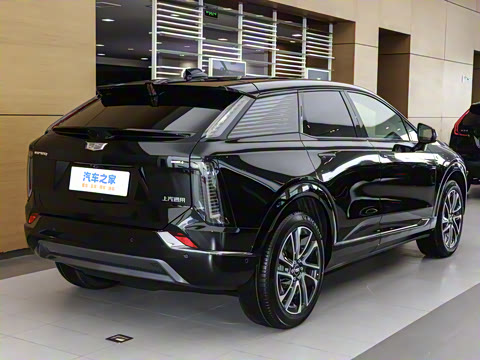 2024�� ������������