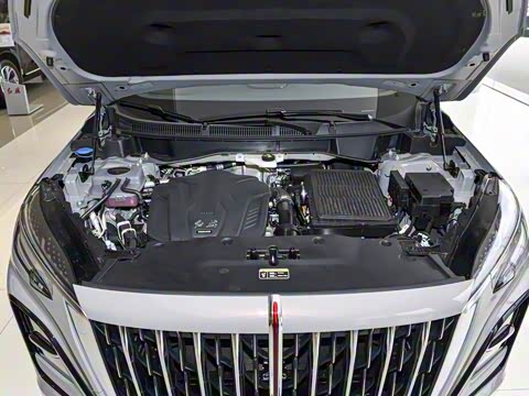 2024�� 115km ��Ϊ��