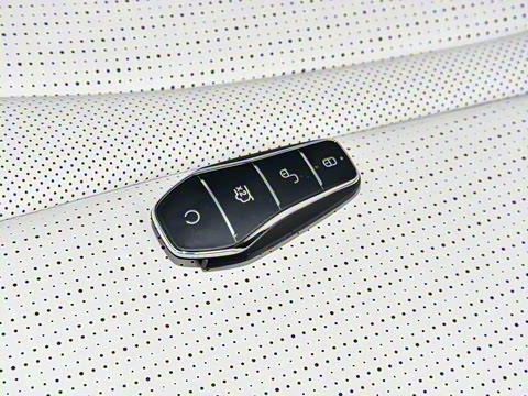 2025�� DM-i �Ǽݰ� 55KM������