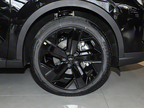 2025�� ������