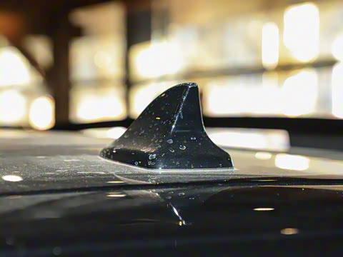 2025�� ������