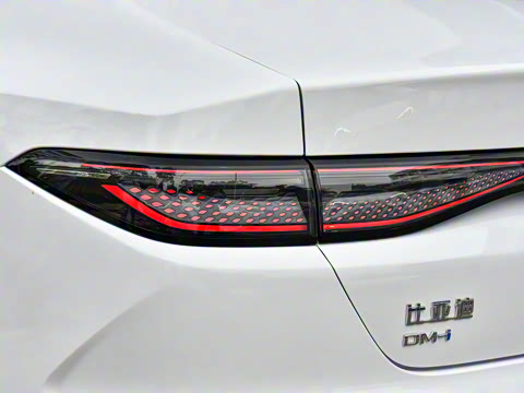 2025�� DM-i �Ǽݰ� 55KM������