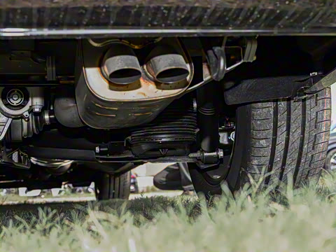 2025�� V 300 �캽��