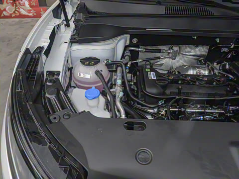 2024�� 1.6T ��ԭ�� 7��