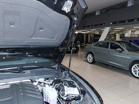 2025�� �Ŀ� 45 TFSI ��ѡ������