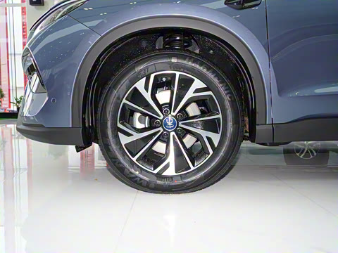 2025�� �ڶ��� �Ǽݰ� DM-i 115KM��Խ��