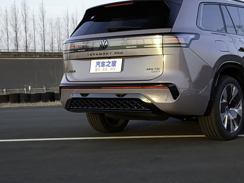 2025�� ;�� Pro 450TSI �����Ƿ��