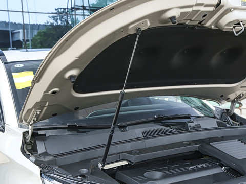 2025�� 300T ������ҹ��