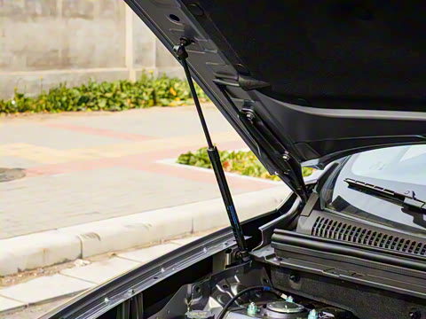 2025�� DM-i �Ǽݰ� 115KM������