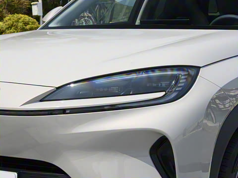 2025�� 135 �����ܼ����״��