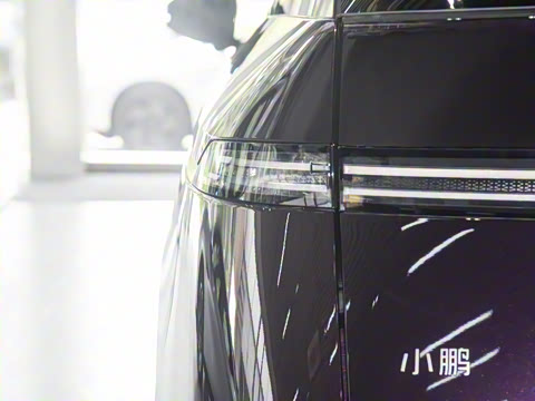 2025�� 650������ Max