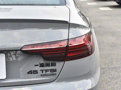 2025�� 200���������� 45 TFSI quattro ��ѡ������