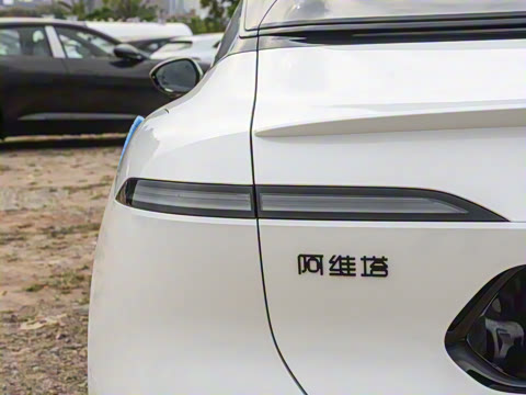 2025�� Pro�����