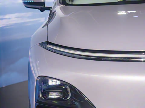 2025�� 725 �������� Max �콢��