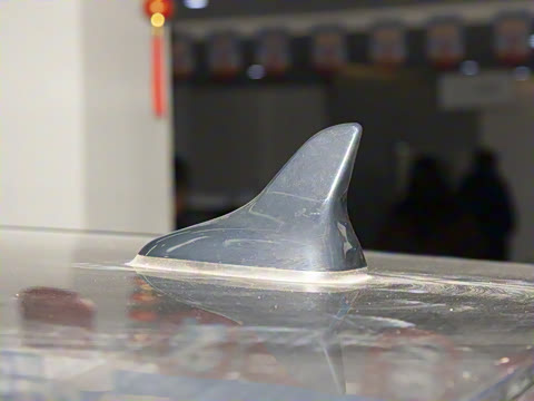 2025�� 1.5T DCT���ܰ�