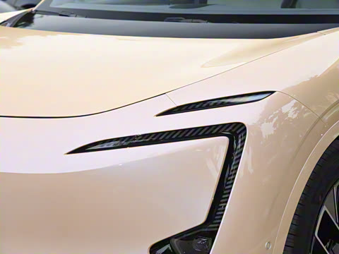 2025�� Max �����