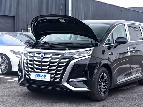 2025�� DM-i �Ǽݰ� 1100 ������