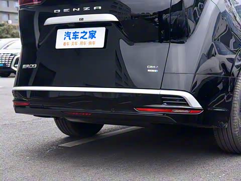 2025�� DM-i �Ǽݰ� 1100 ������