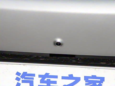 2025�� 100������Plus����